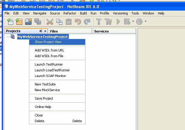 Show Project view in the NetBeans plugin